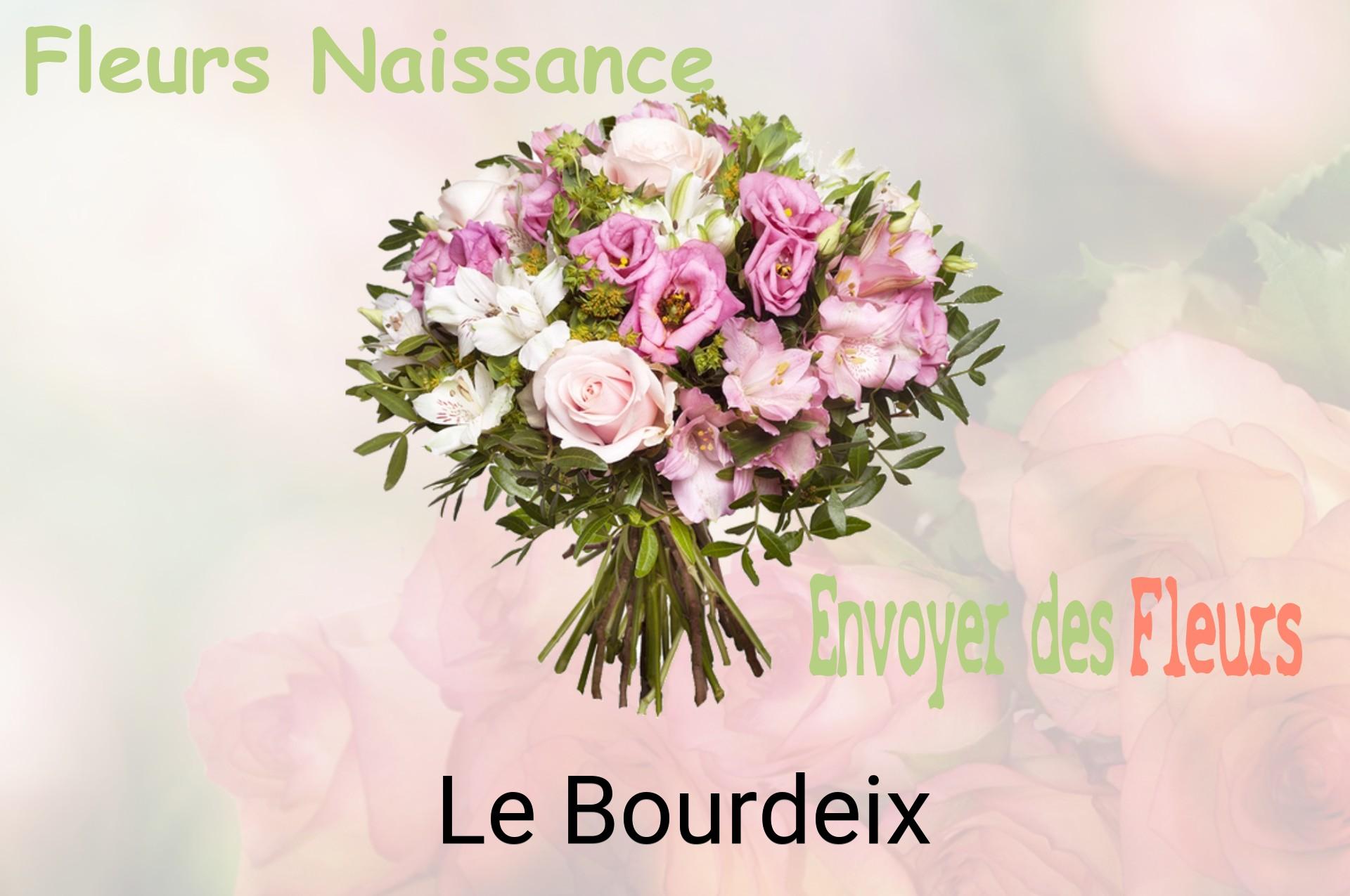 Bouquet de fleurs de naissance livré à Le Bourdeix